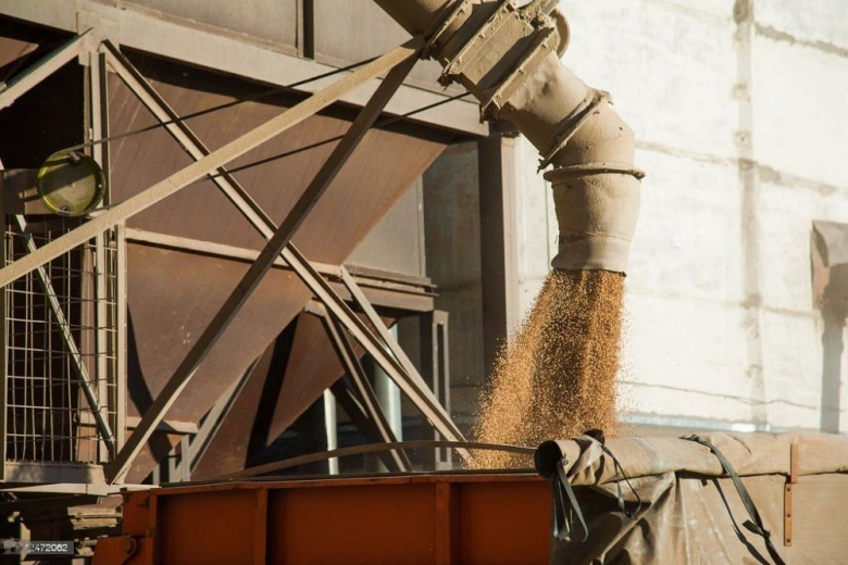 2 декабря в госфонд закупили 66,15 тысячи тонн зерна